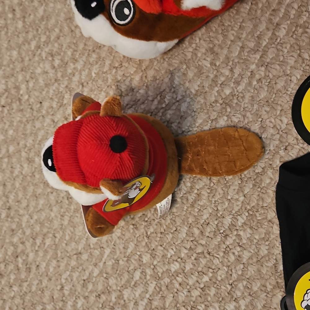 Buc-ee's Bundle - Picture 6 of 13